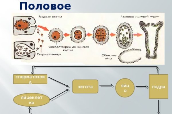 Кракен официальная kr2web in
