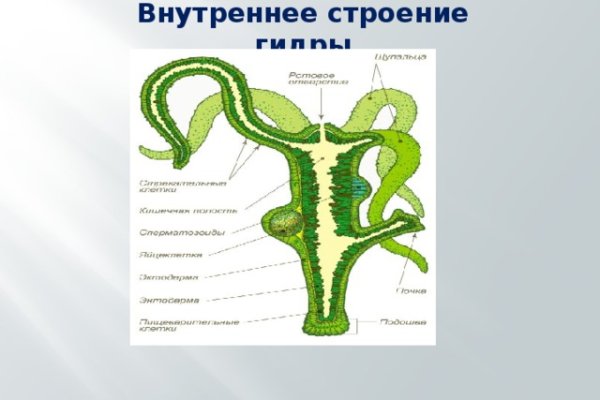 Клирнет ссылка на зеркало маркетплейс кракен