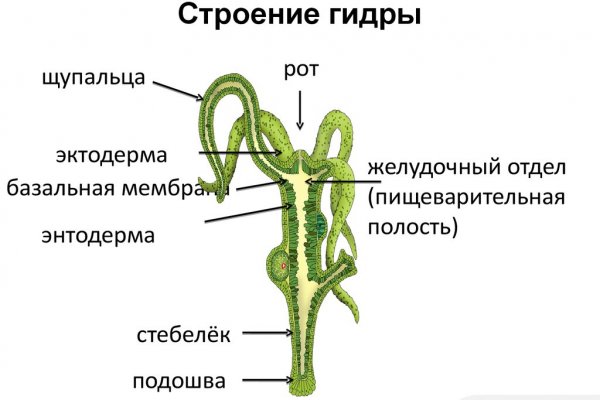 Кракен продажа