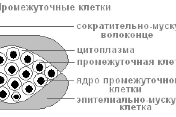 Кракен настоящий сайт