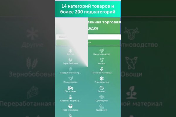 Рабочая ссылка на кракен